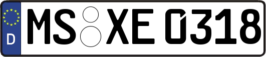 MS-XE0318