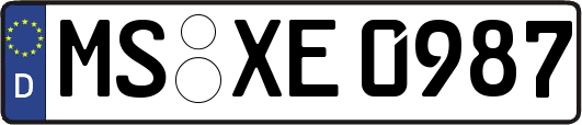 MS-XE0987