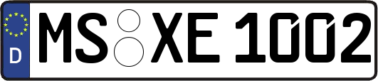 MS-XE1002