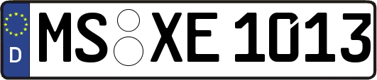 MS-XE1013