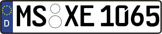 MS-XE1065