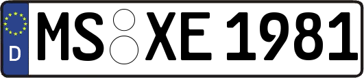 MS-XE1981
