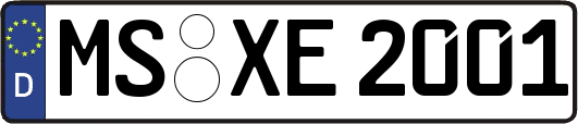 MS-XE2001