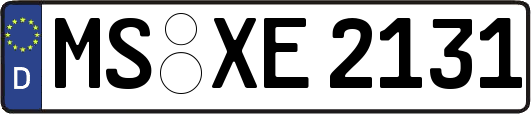 MS-XE2131