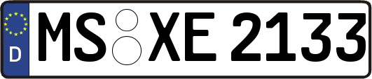 MS-XE2133