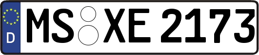 MS-XE2173
