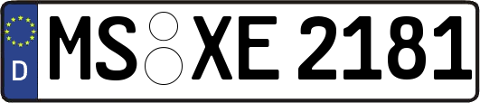 MS-XE2181