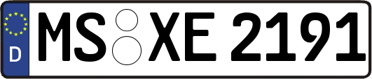 MS-XE2191