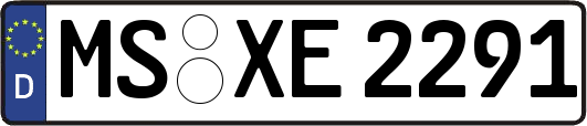 MS-XE2291