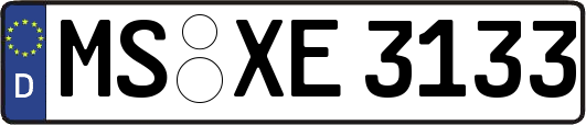 MS-XE3133