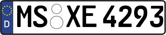 MS-XE4293