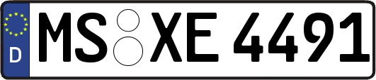MS-XE4491