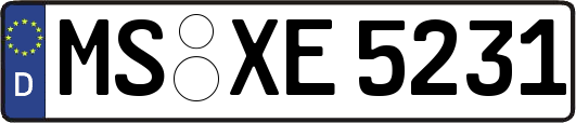 MS-XE5231