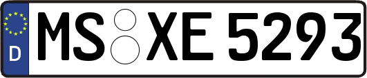 MS-XE5293