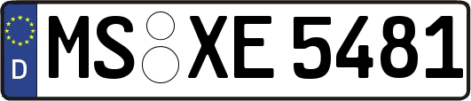 MS-XE5481