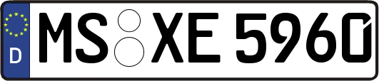 MS-XE5960
