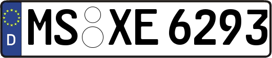 MS-XE6293