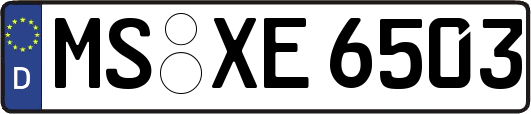 MS-XE6503