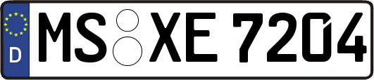 MS-XE7204