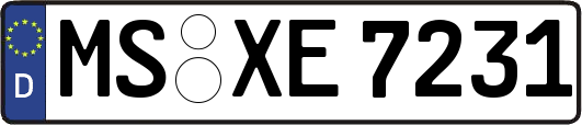 MS-XE7231