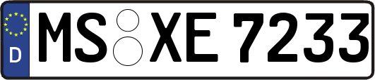 MS-XE7233