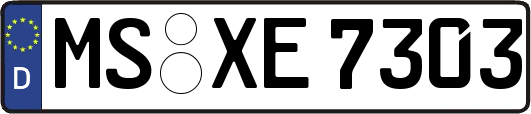 MS-XE7303
