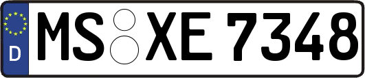 MS-XE7348