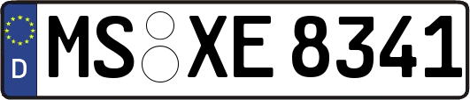 MS-XE8341
