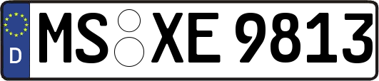 MS-XE9813