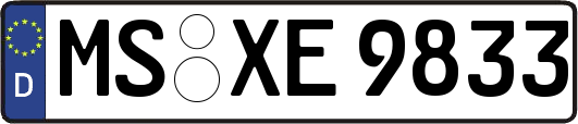 MS-XE9833