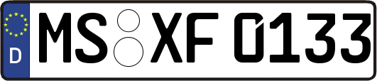 MS-XF0133