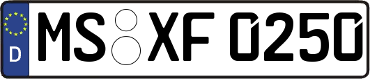 MS-XF0250