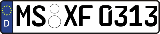 MS-XF0313
