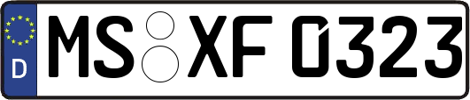 MS-XF0323