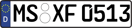 MS-XF0513