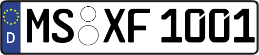 MS-XF1001