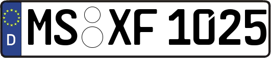 MS-XF1025