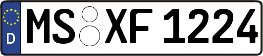 MS-XF1224