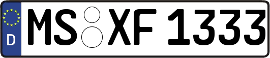 MS-XF1333