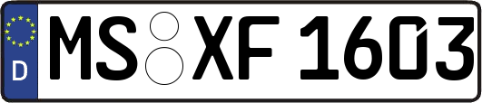 MS-XF1603