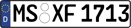 MS-XF1713