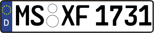 MS-XF1731