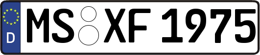MS-XF1975