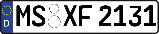MS-XF2131