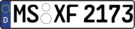 MS-XF2173