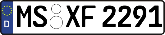 MS-XF2291