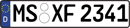 MS-XF2341