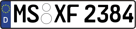 MS-XF2384