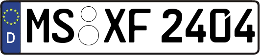 MS-XF2404