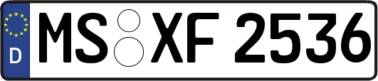 MS-XF2536